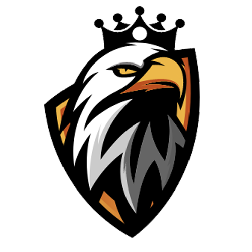 app.دورى مصر للهواه